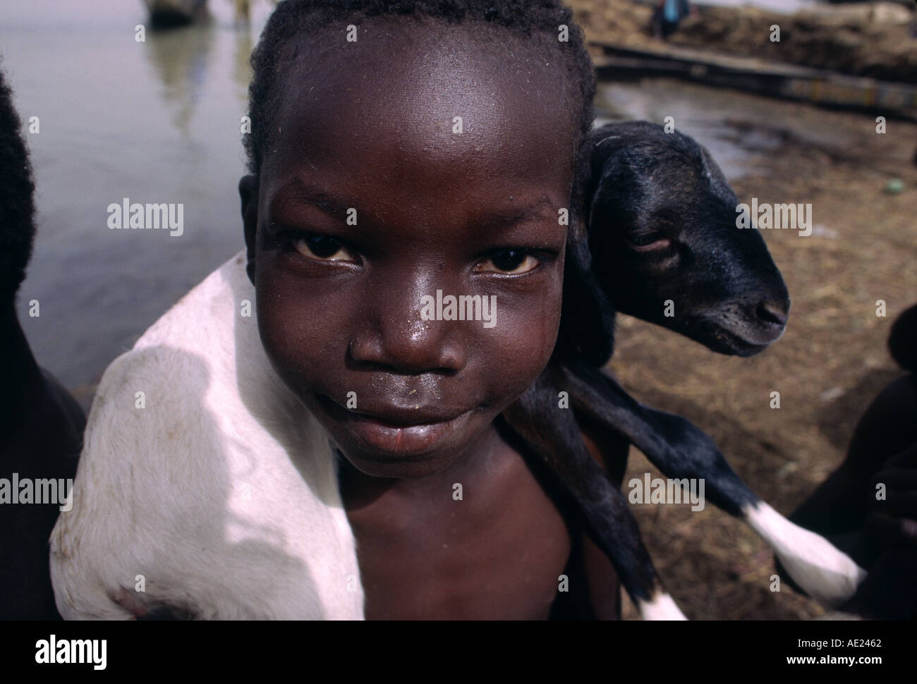 A boy carries a young goat on his shoulders on the banks of the Niger River in Mopti Mali Stock Photo