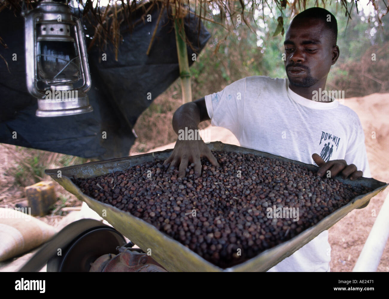 A farmer tends a husking machine for cocoa beans, Ivory Coast Stock