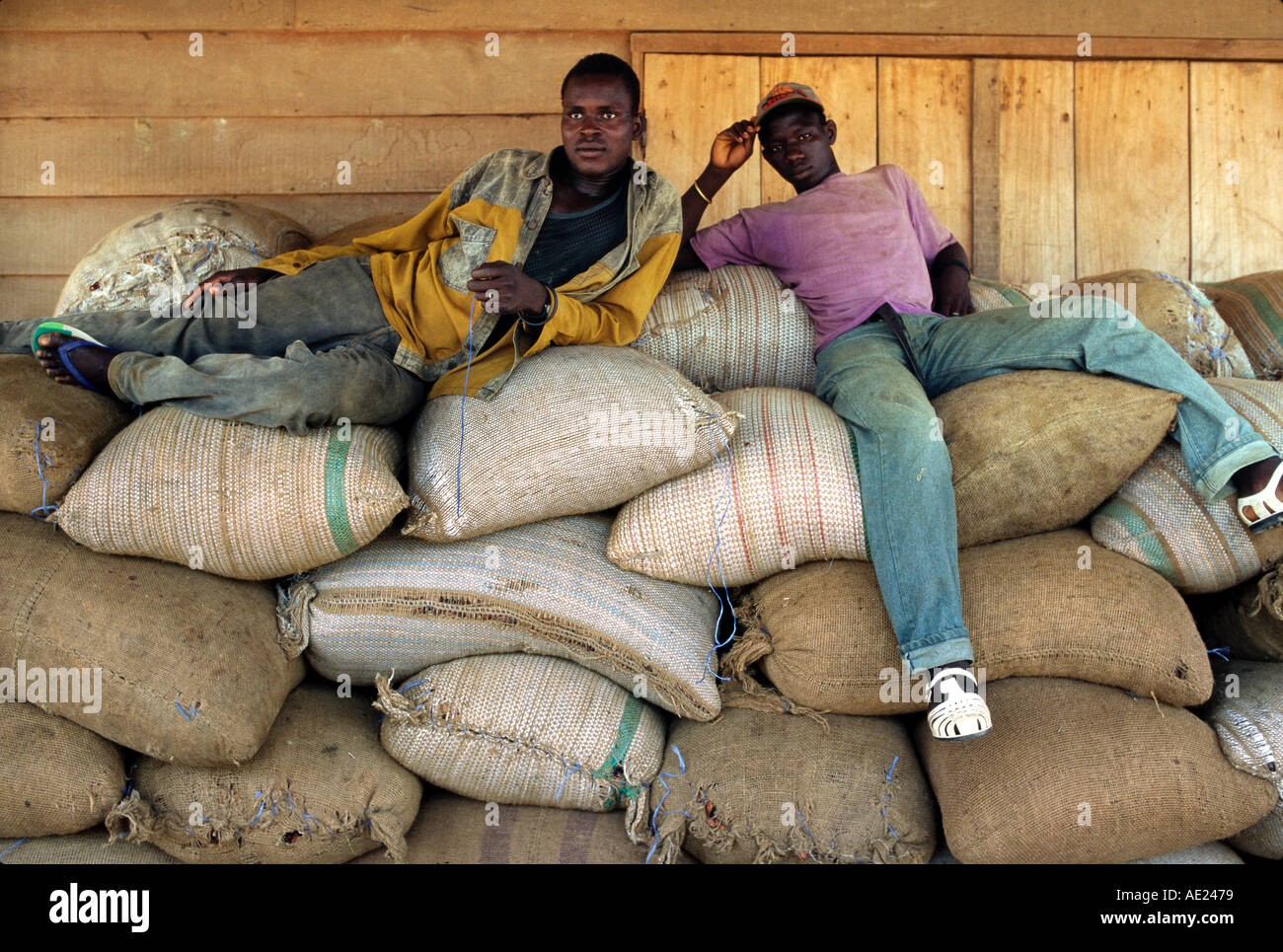 Workers rest on bags of cocoa beans, Ivory Coast Stock Photo