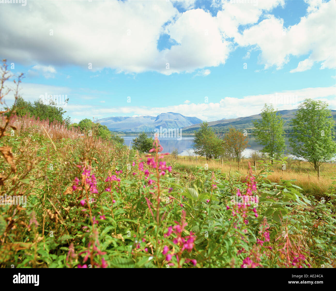 Ben Nevis 1 Stock Photo Alamy