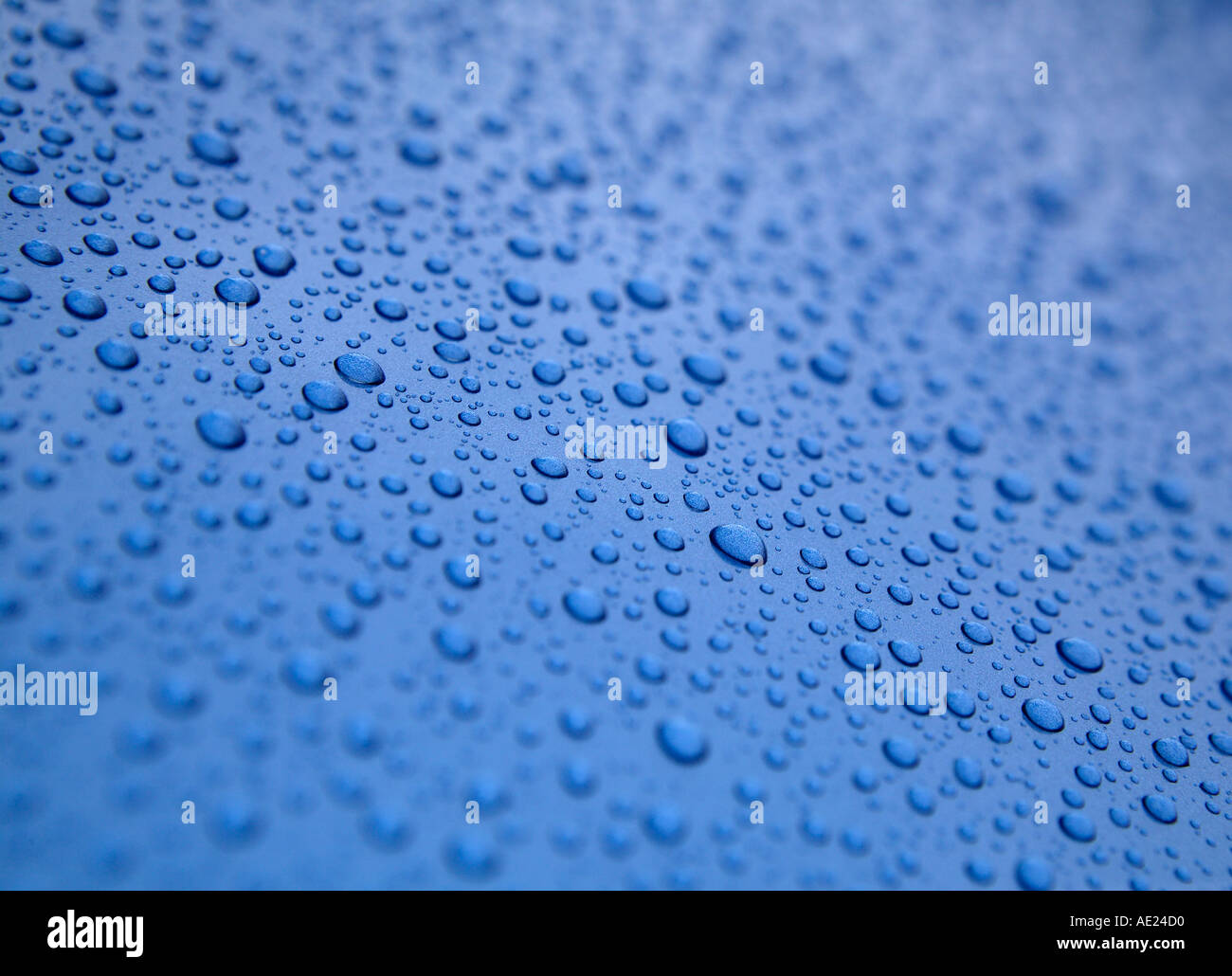 WATER DROPLETS ON BLUE METALLIC SURFACE Stock Photo