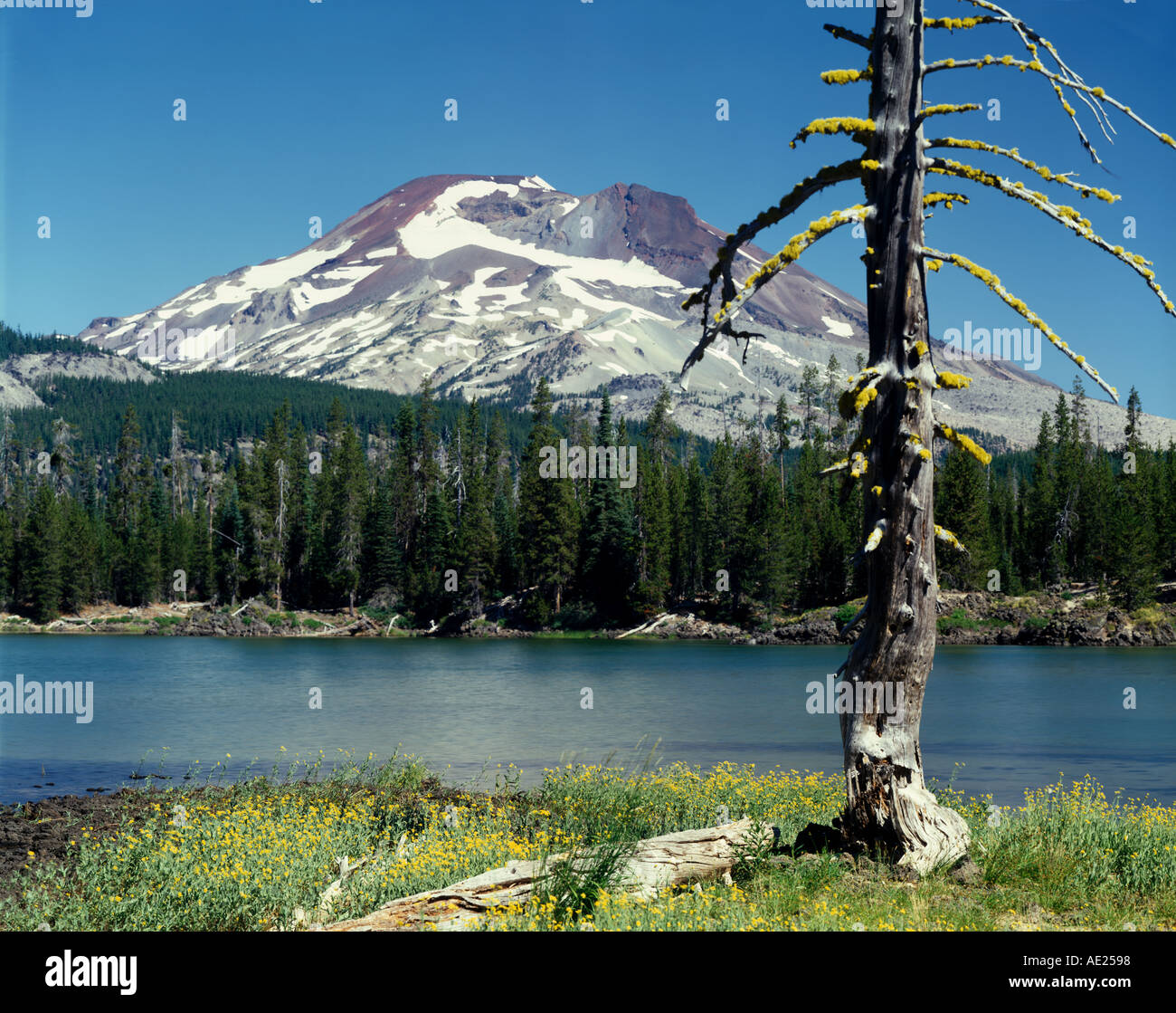 Sparks Lake and South Sister mountain near Bend Oregon USA Stock Photo