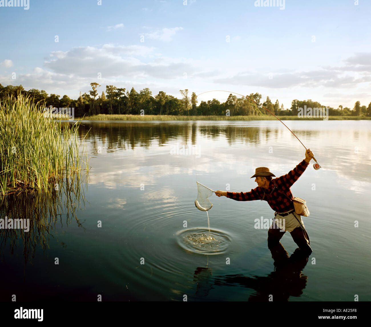 fisherman netting fish in Florida lake Stock Photo