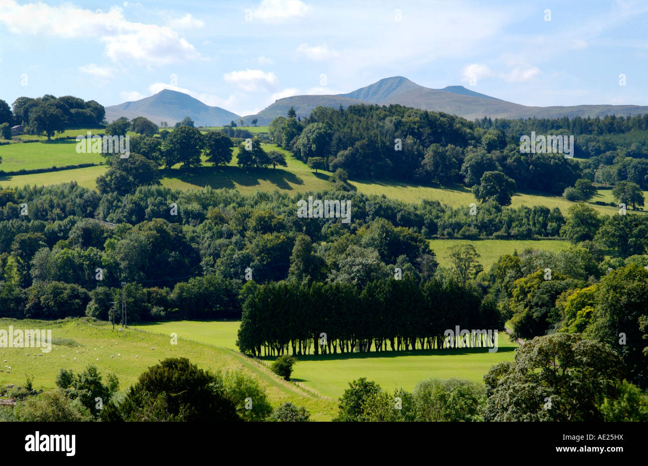 View of Brecon Beacons from Brecon town centre Powys Wales UK GB EU Stock Photo