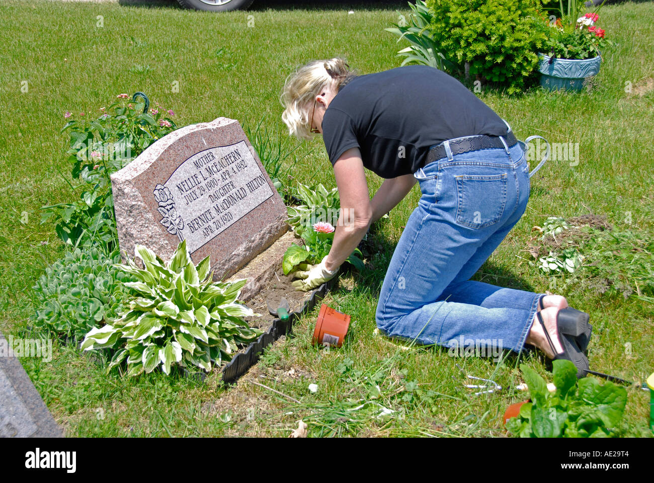 Adult female plants flowers to a grave site on Memorial Day Stock Photo
