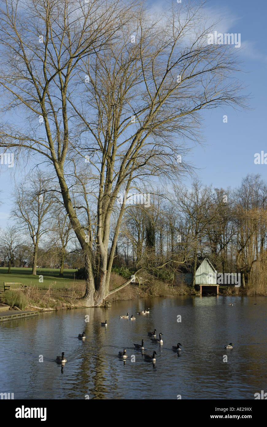 Winter scene in Warwickshire, England. Stock Photo