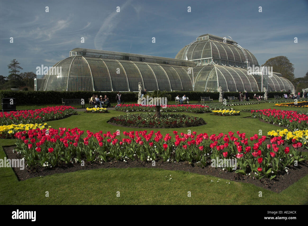 Beds of red and yellow bulbs in bloom in spring in front of the Palm House in the Royal Botanic Gardens, Kew, London. Stock Photo