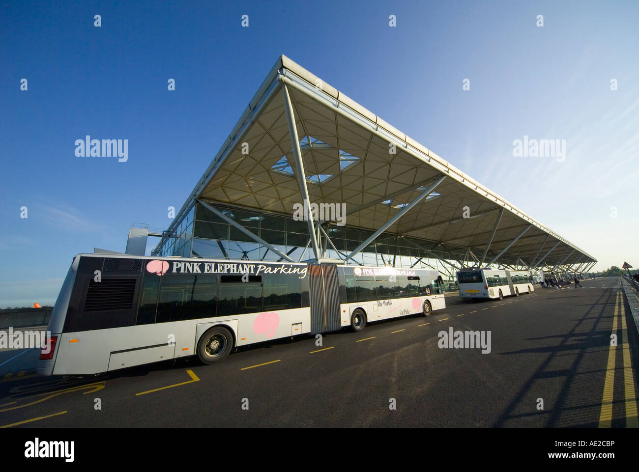 Pink Elephant buses outside Stansted airport terminal Stock Photo Alamy