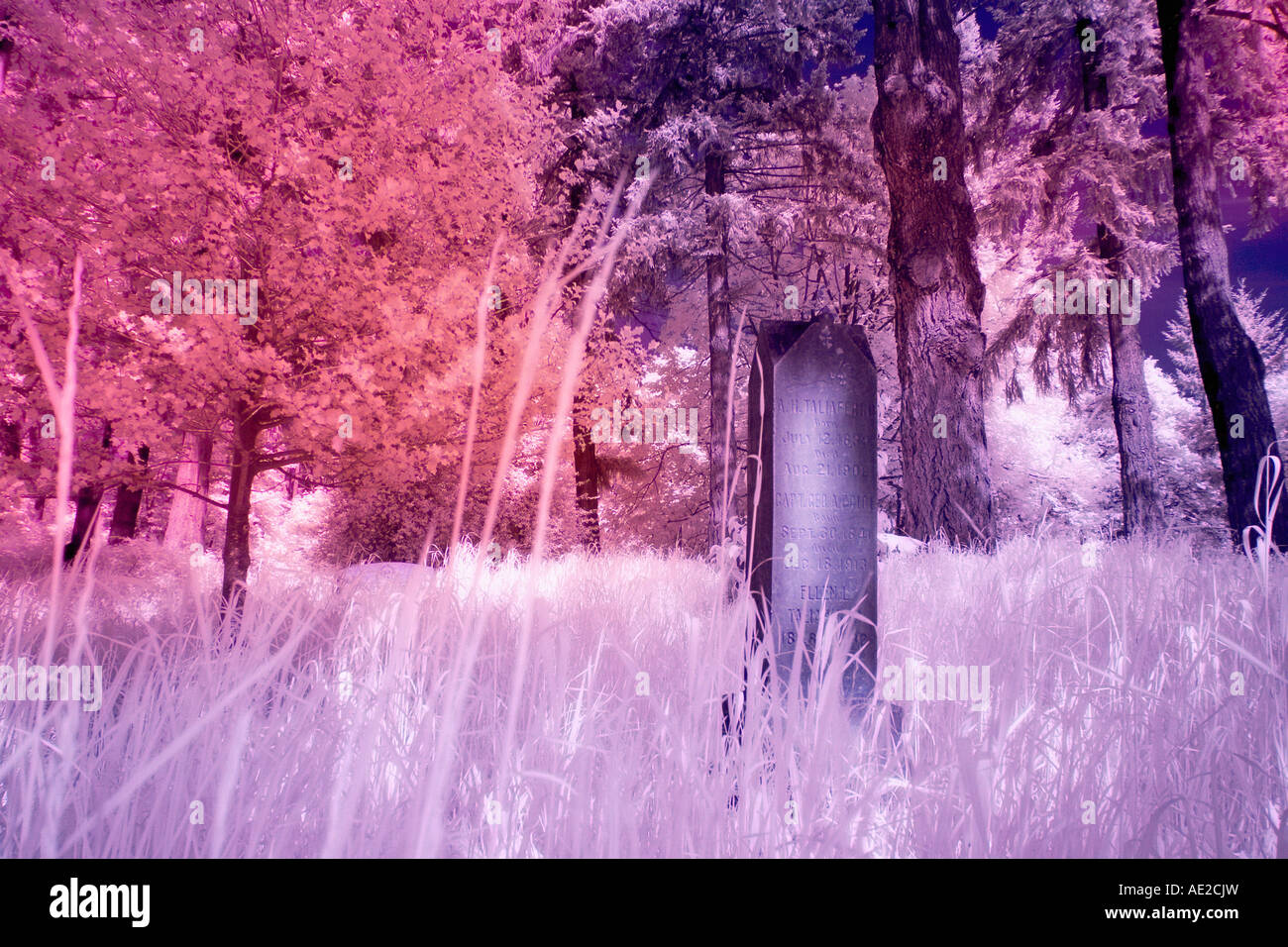 Two-Color Infrared Cemetery Stock Photo