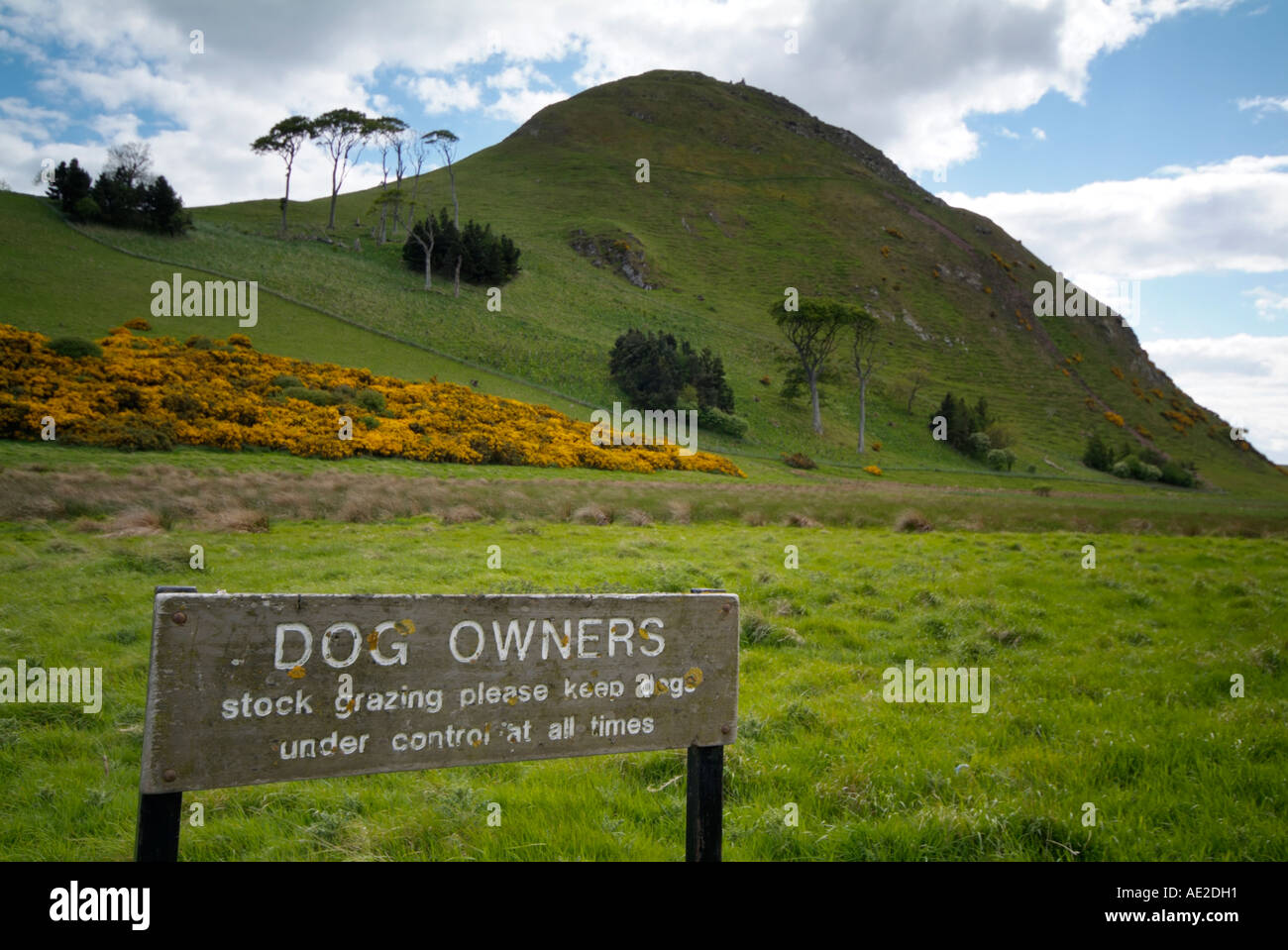 Dog Owners sign below North Berwick Law Stock Photo