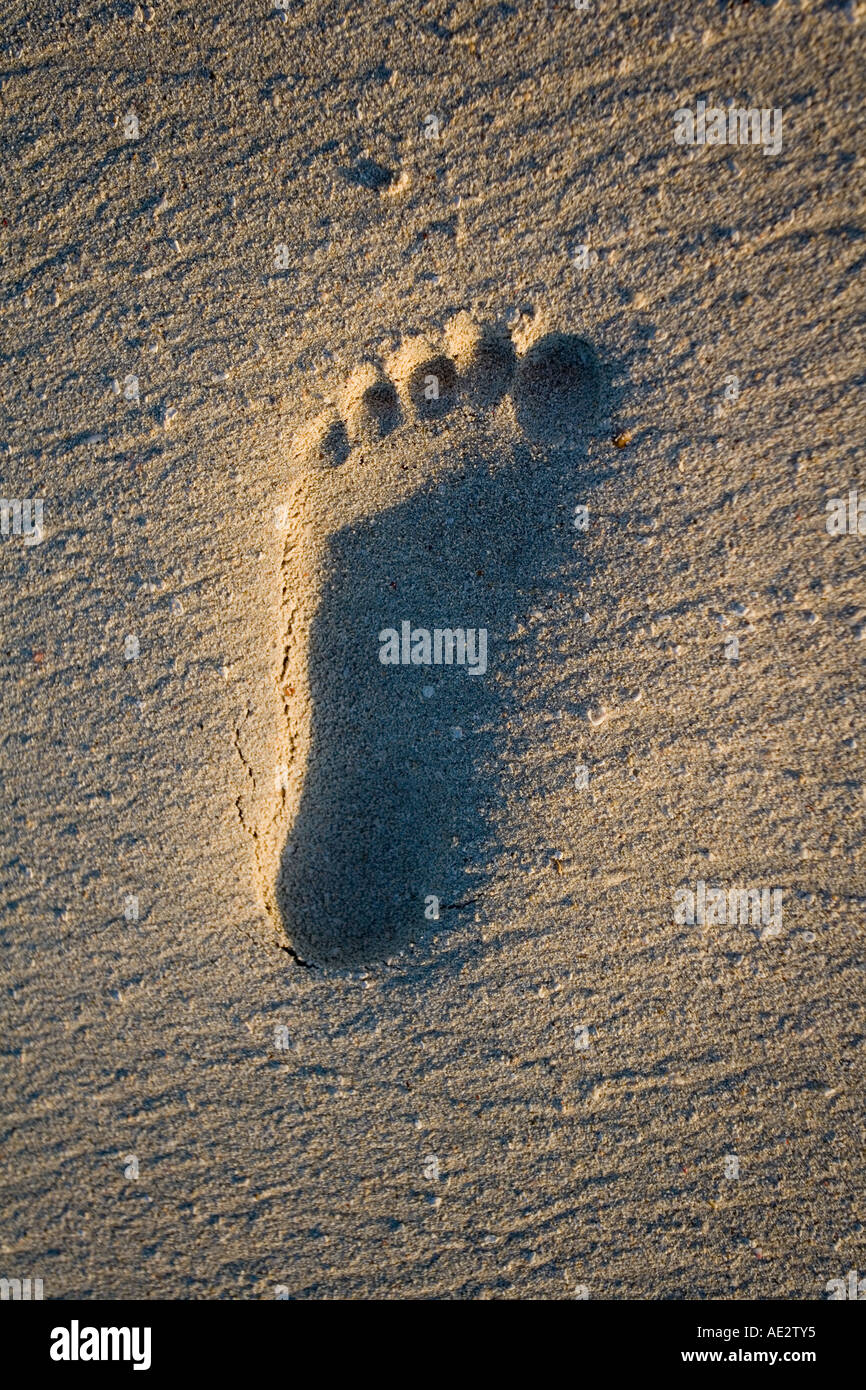Footprint in the sand of a tropical beach Stock Photo - Alamy