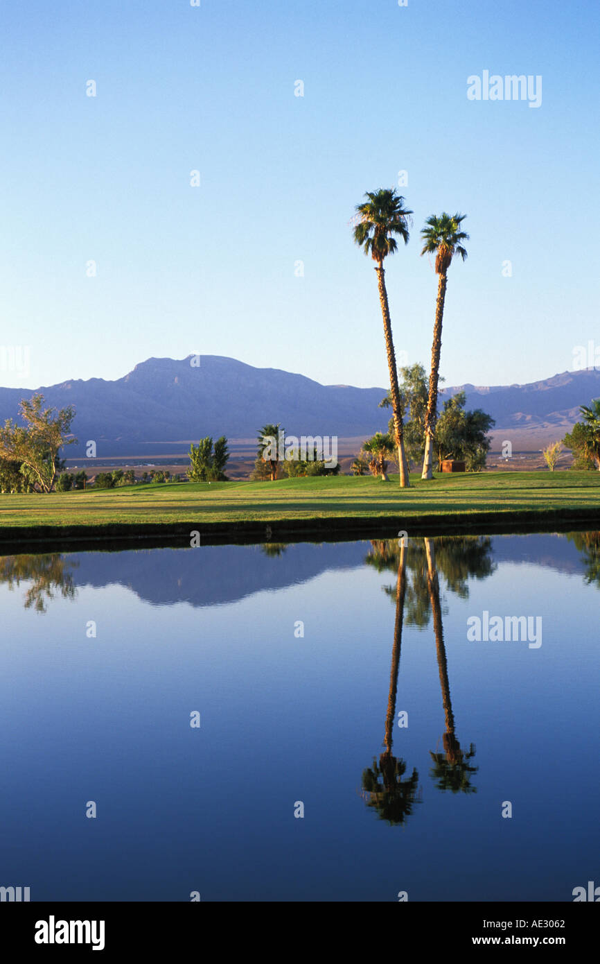 Nevada, Mesquite, Palms Golf Course Stock Photo