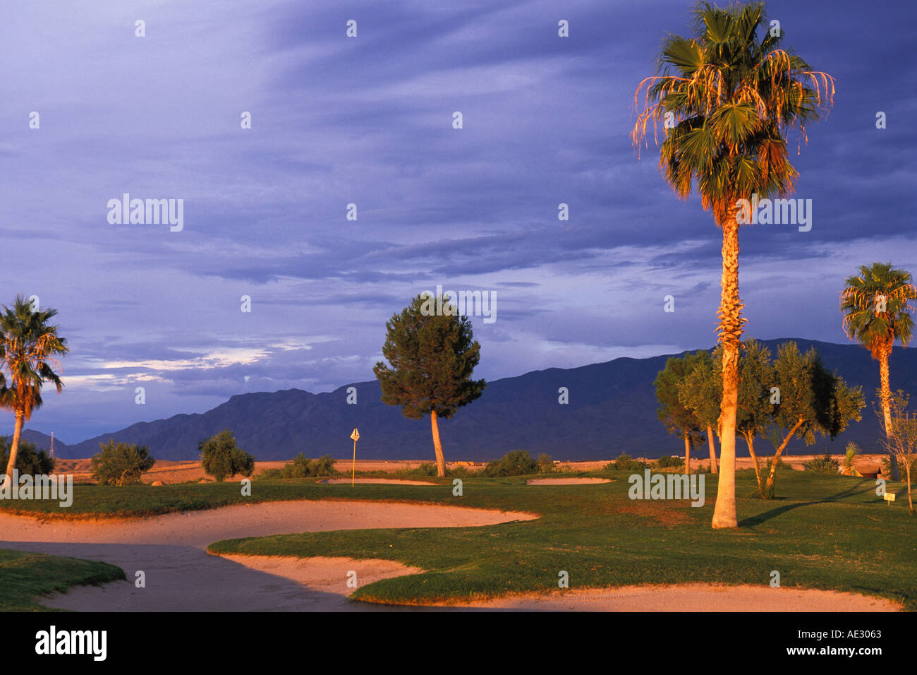 Nevada, Mesquite, Palms Golf Course, 8th hole green Stock Photo