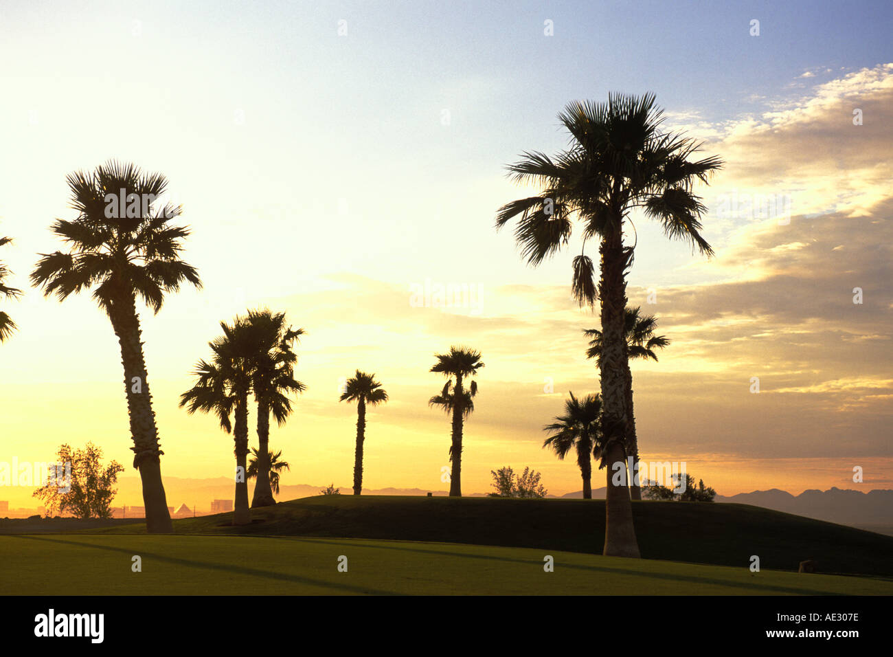 Nevada, Las Vegas, Bears Best Golf Course Stock Photo Alamy