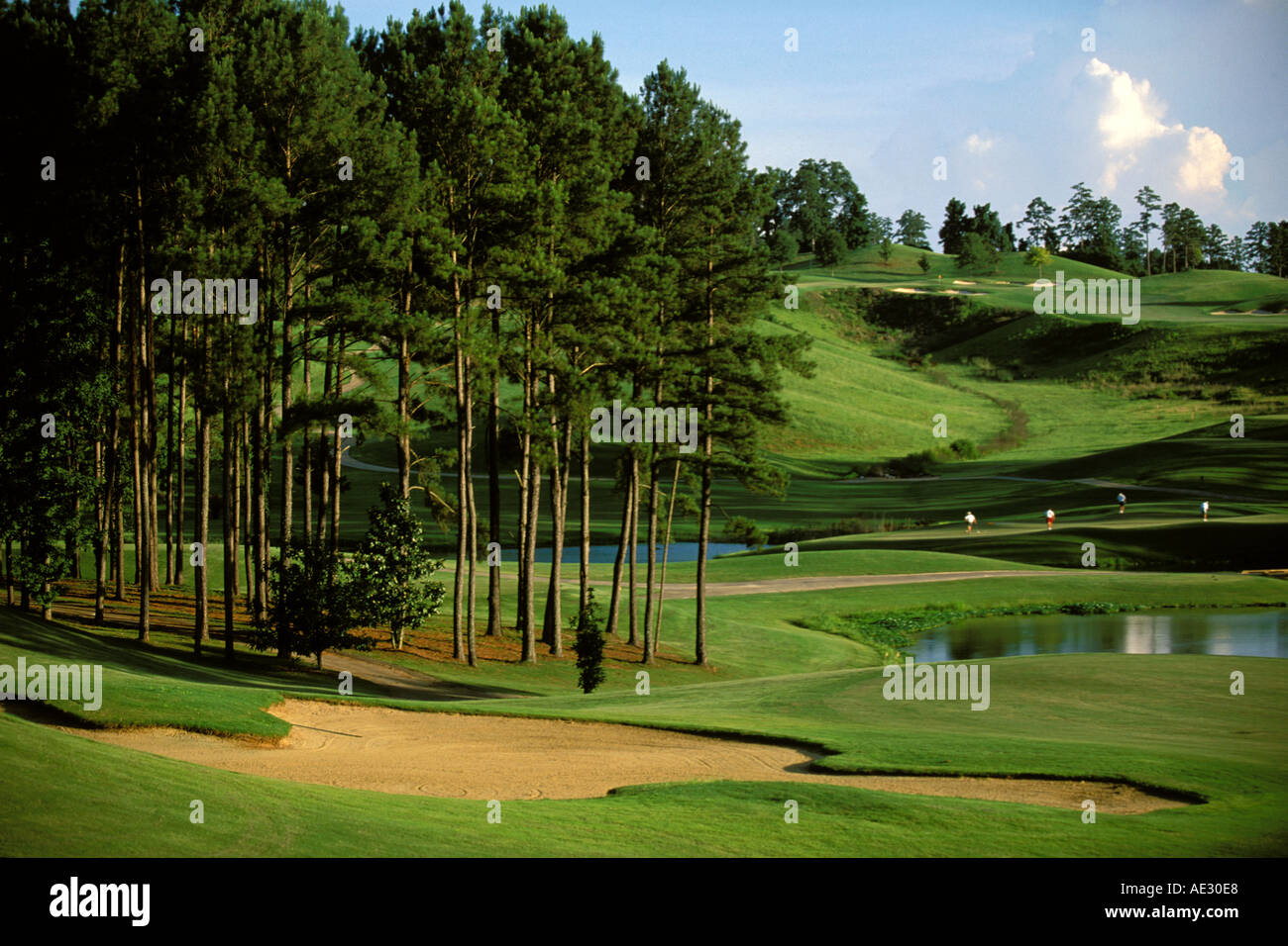 Alabama, Robert Trent Jones Golf Trail, Greenville, Cambrian Ridge, 8th hole, Sherling Stock Photo