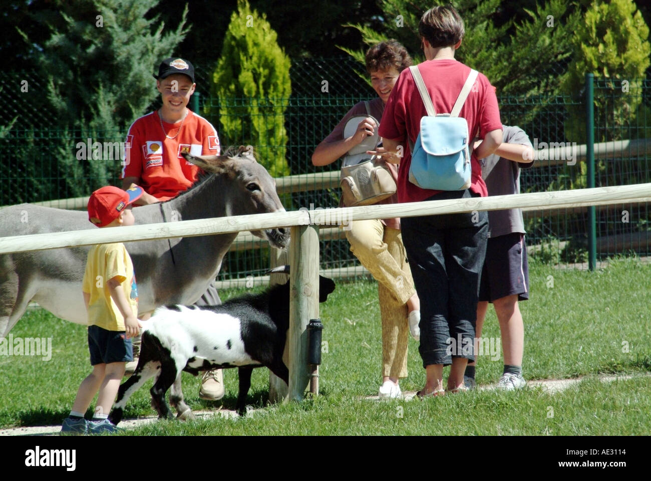 france loir et cher st aignan beauval zoolgical park Stock Photo