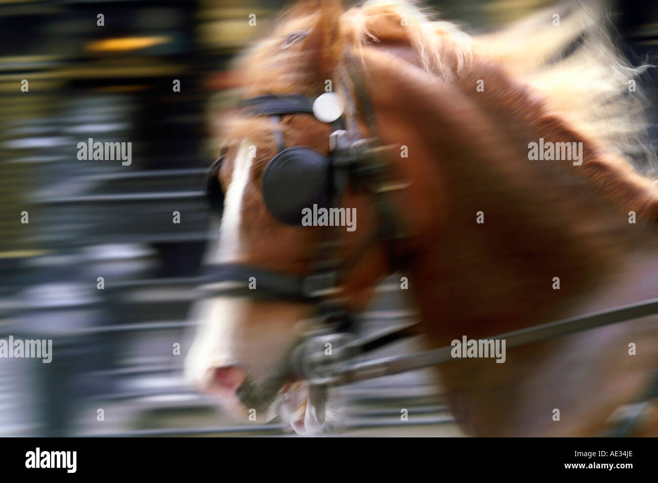 Running horse pulling chariot, team, yoke, streets of London Running