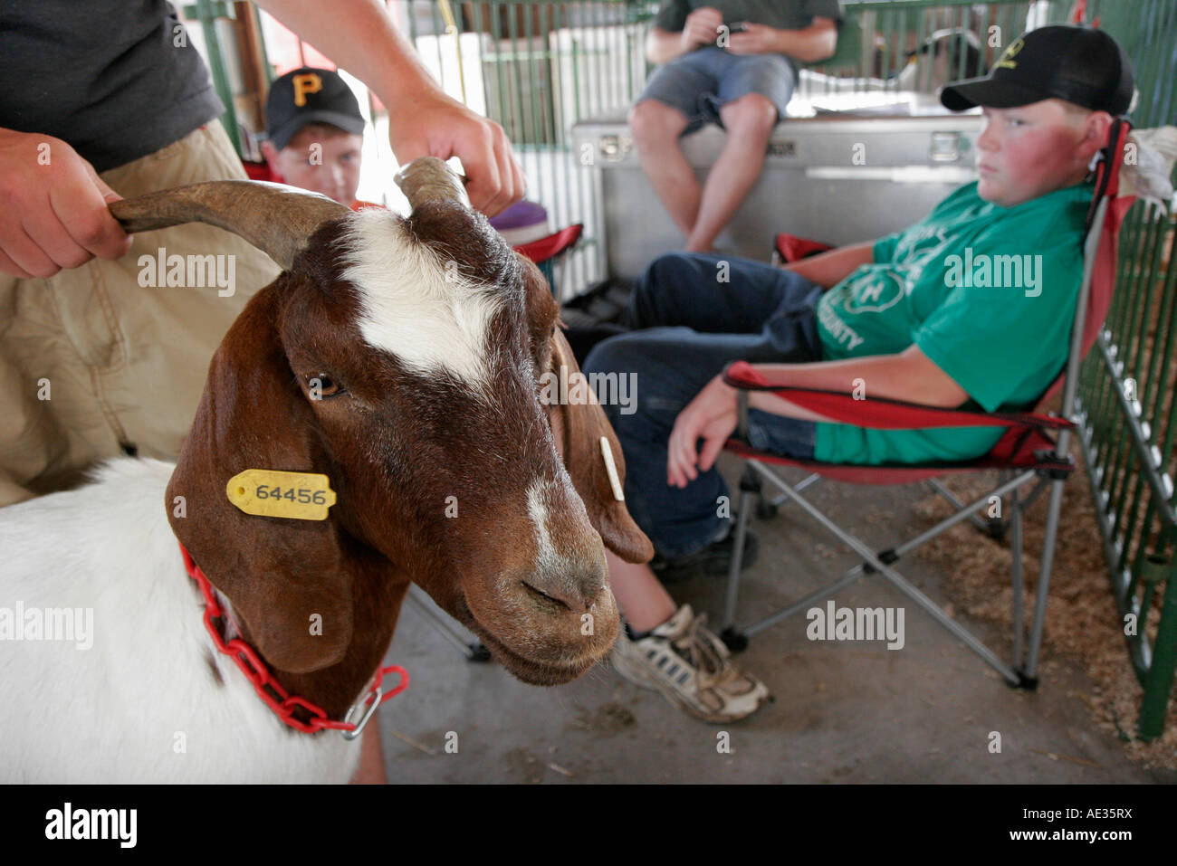 Valparaiso Indiana,Porter County Fair,4 H Club,agriculture,boy boys,male kid kids child children youngster youngsters youth youths goat,visitors trave Stock Photo