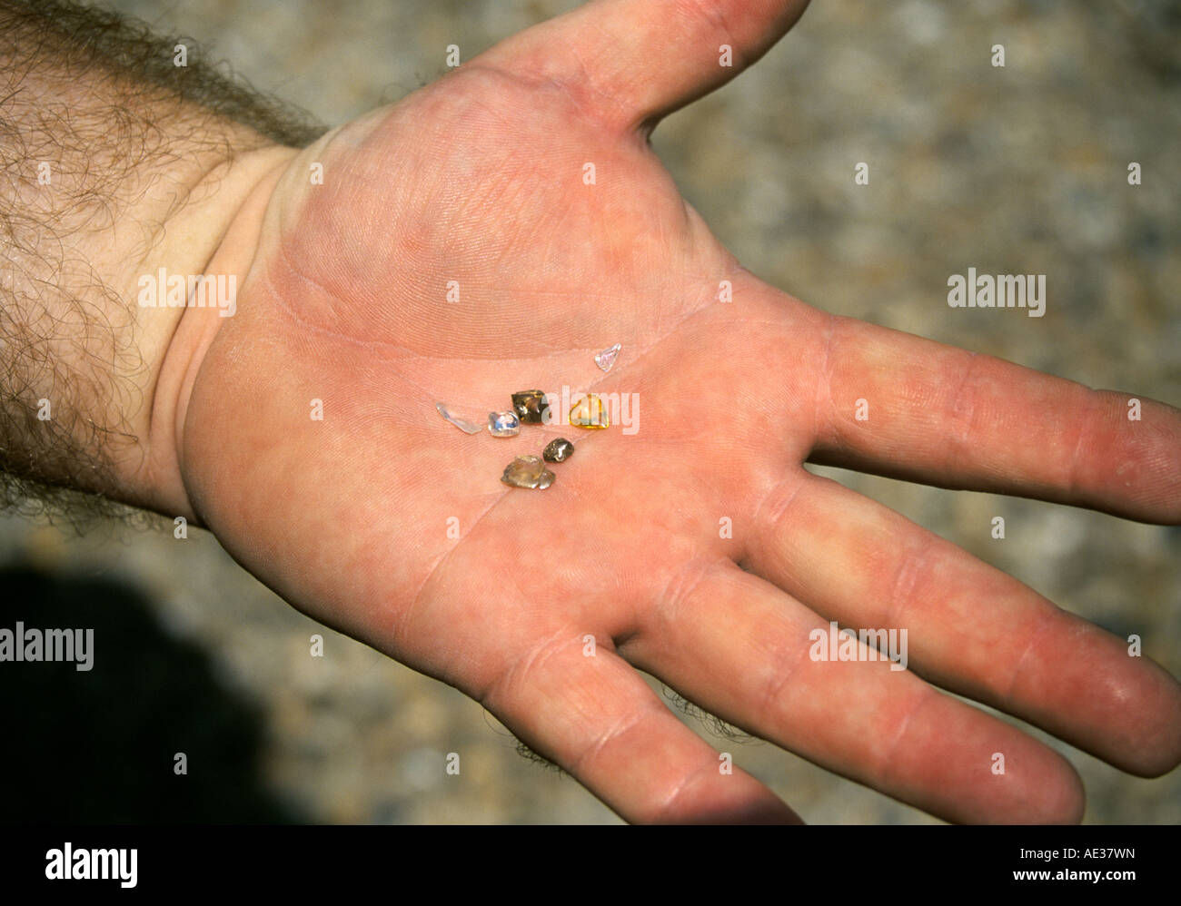 A handful of real diamonds found at Crater of Diamonds State Park in southern Arkansas Stock Photo