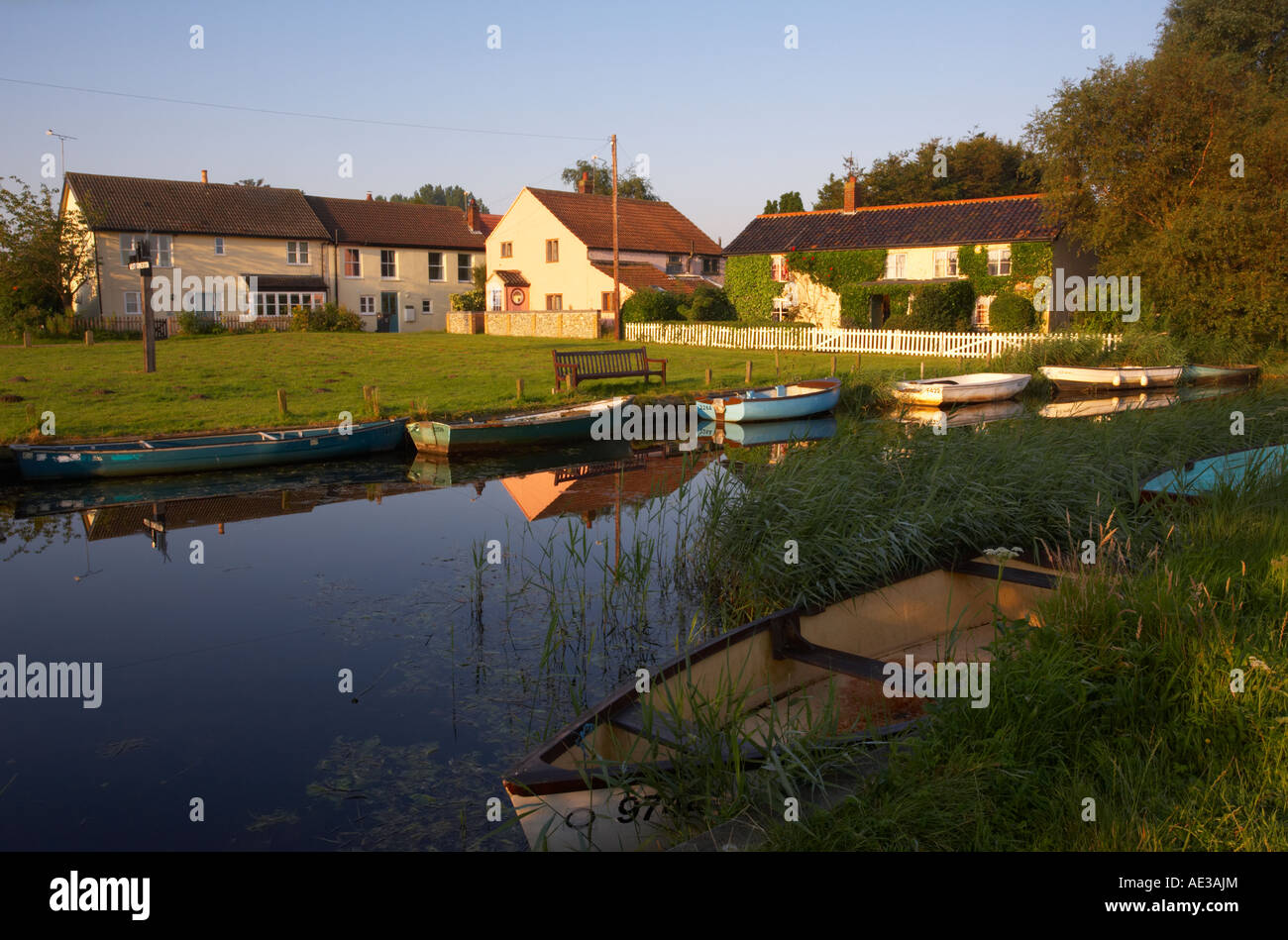 West Somerton in the Norfolk Broads on a summer morning Stock Photo Alamy