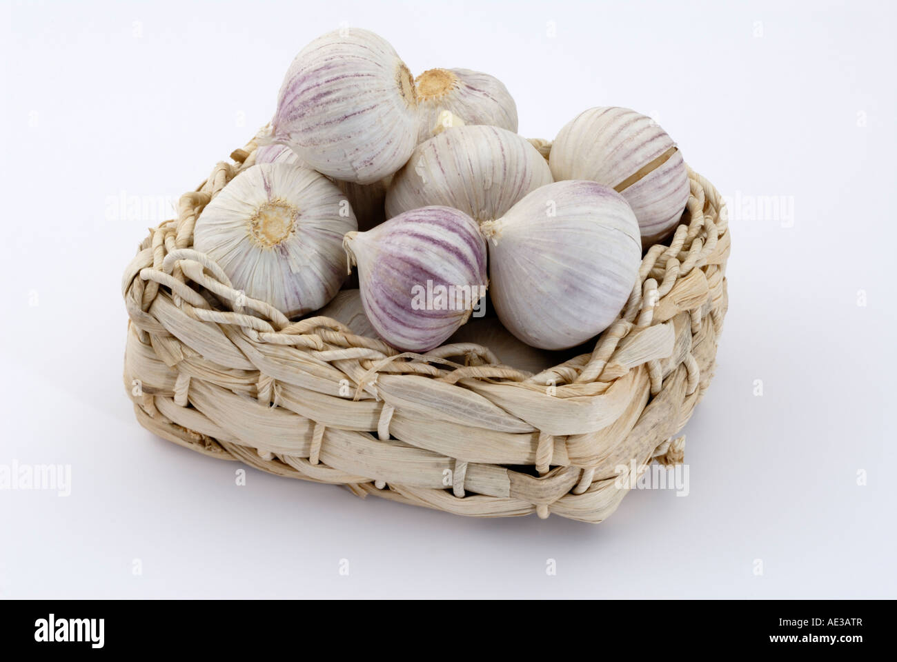 Elephant Garlic, Russian Garlic (Allium ampeloprasum), bulbs in a small