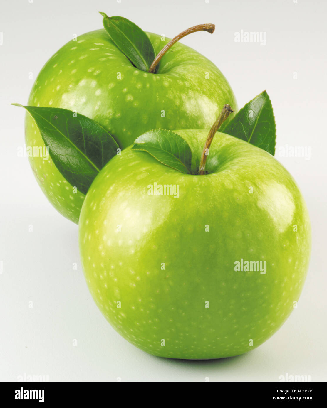 TWO GREEN APPLES Stock Photo
