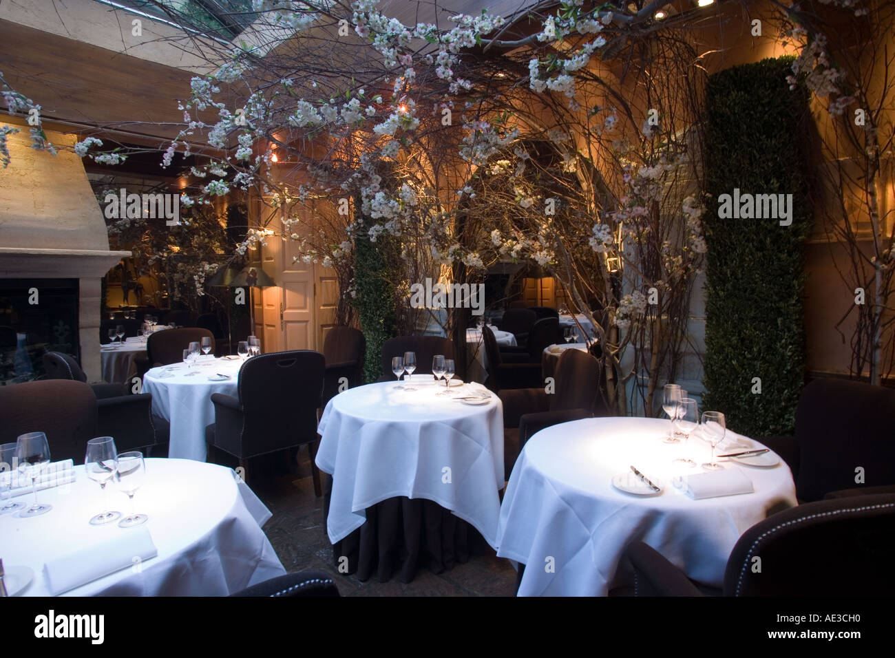 Clos Maggiore Restaurant Covent Garden London Stock Photo Alamy