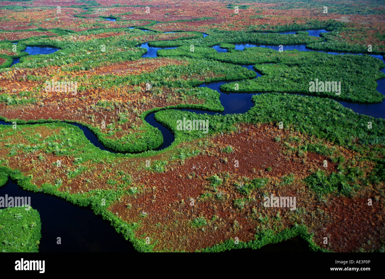 Aerial view of Everglades National Park Florida USA Stock Photo