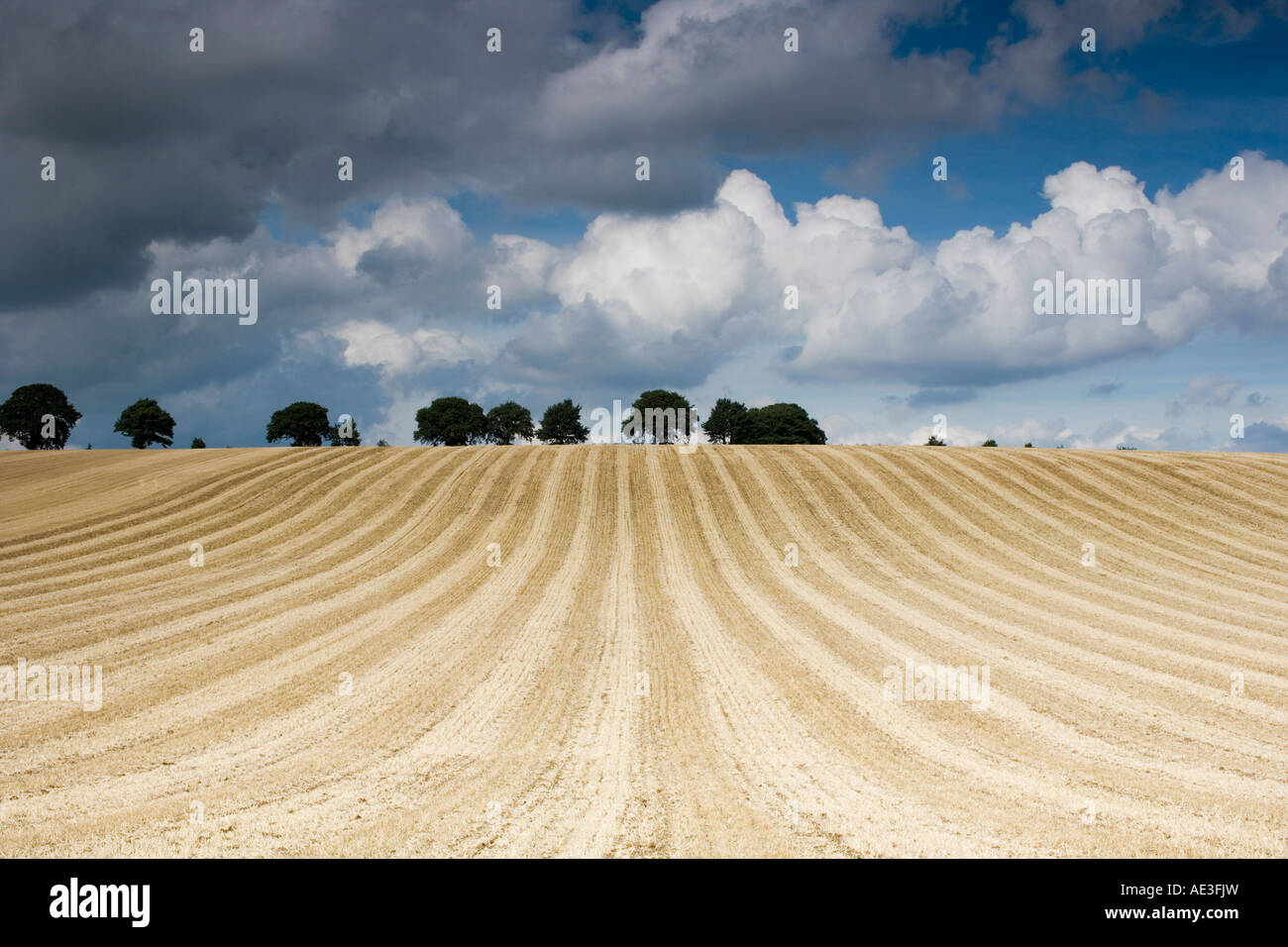 Wheat field in the English countryside after it has been harvested. Broughton, Oxfordshire, England Stock Photo
