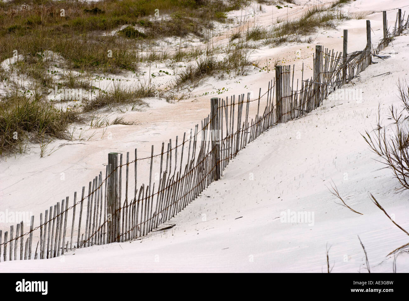 Wooden erosion fence on sand beach at Anastasia State Park, in St