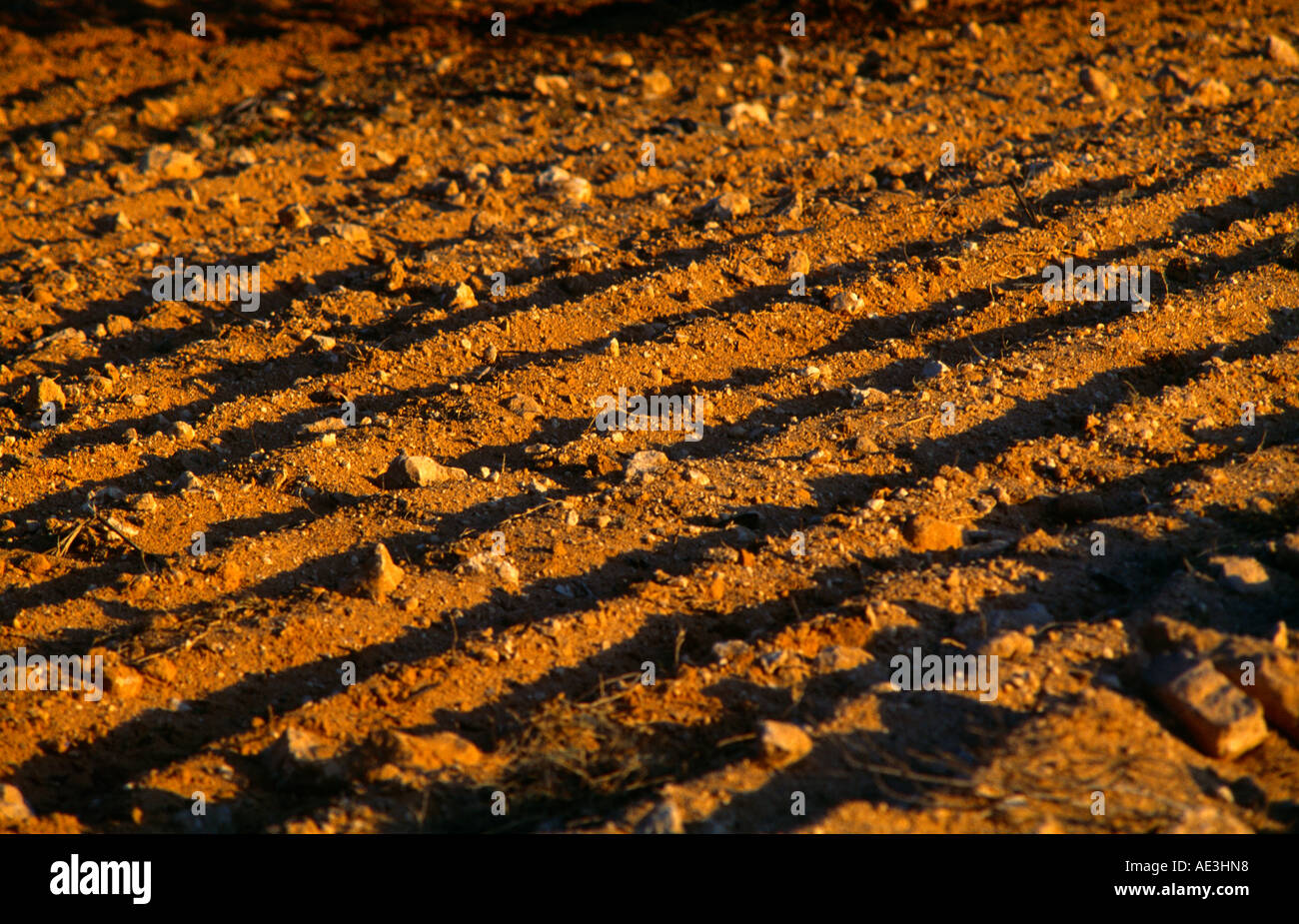 Ploughed Earth Tunisia  Clay Soil Top Soil Stock Photo