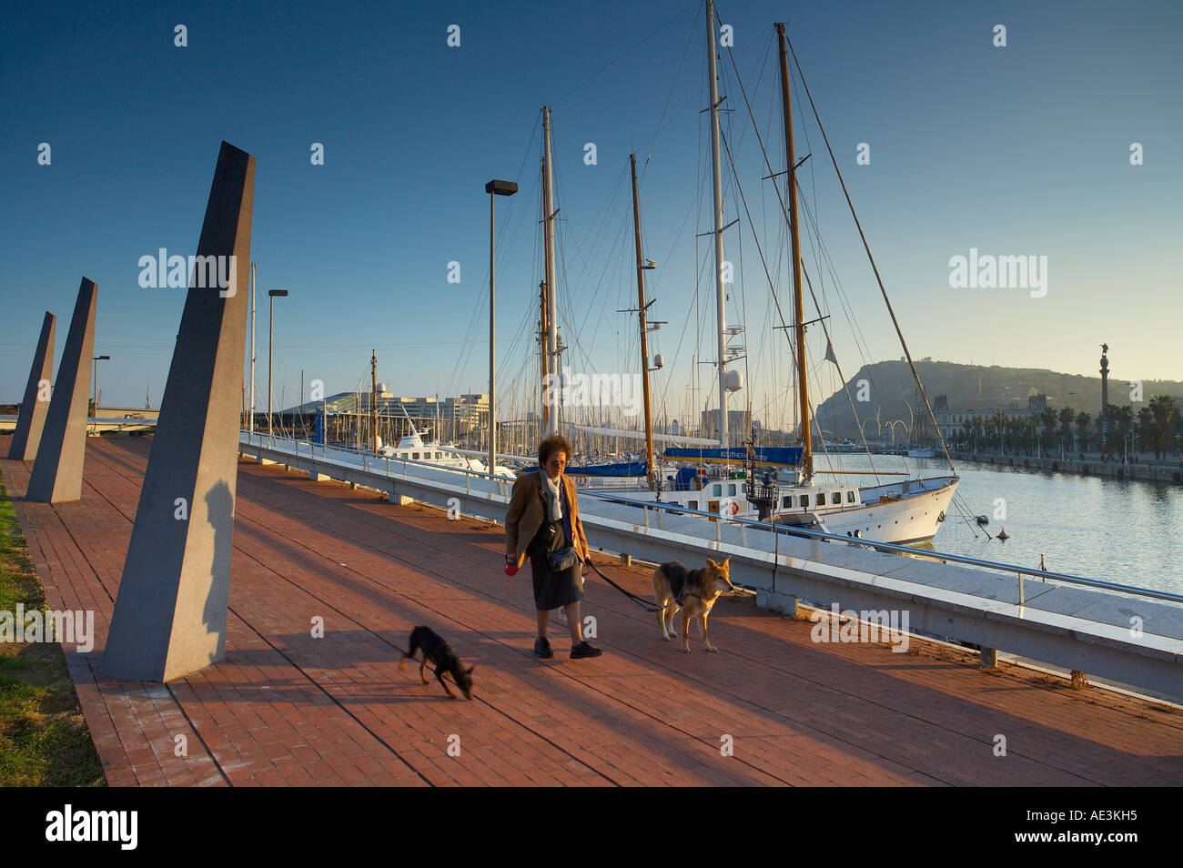 woman walking her dogs and boats in the harbour with the Monument a Colom Monument to Columbus Barcelona Spain Stock Photo
