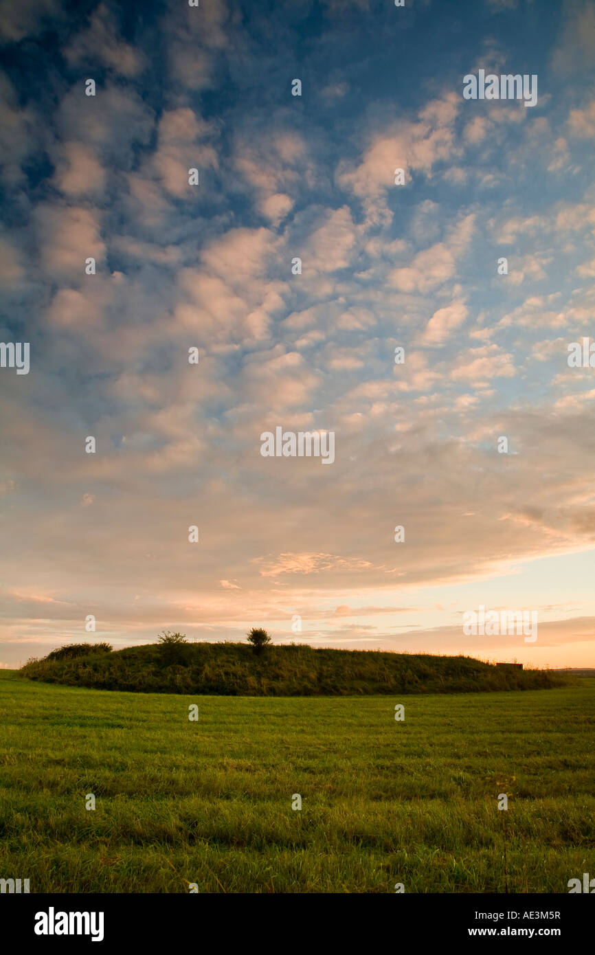 Tumulus on Gussage Hill, Dorset, UK Stock Photo