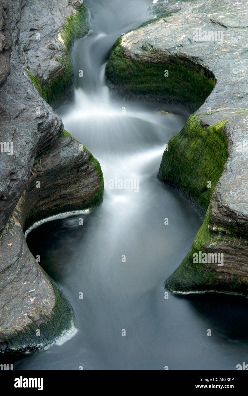 Scenic view of the coats in Cornwall Stock Photo