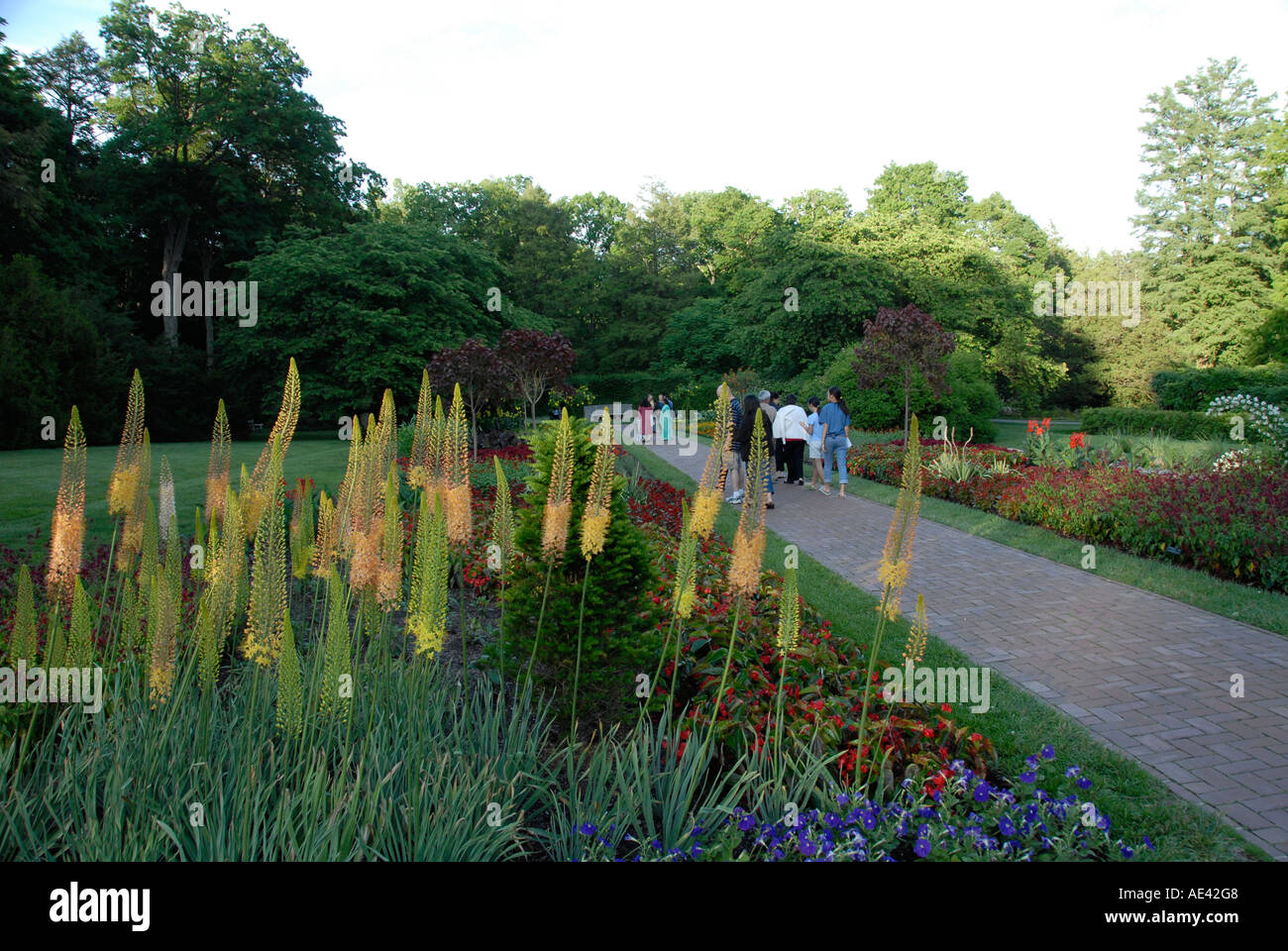 Longwood Gardens near Philadelphia Flowers Philadelphia Pennsylvania PA