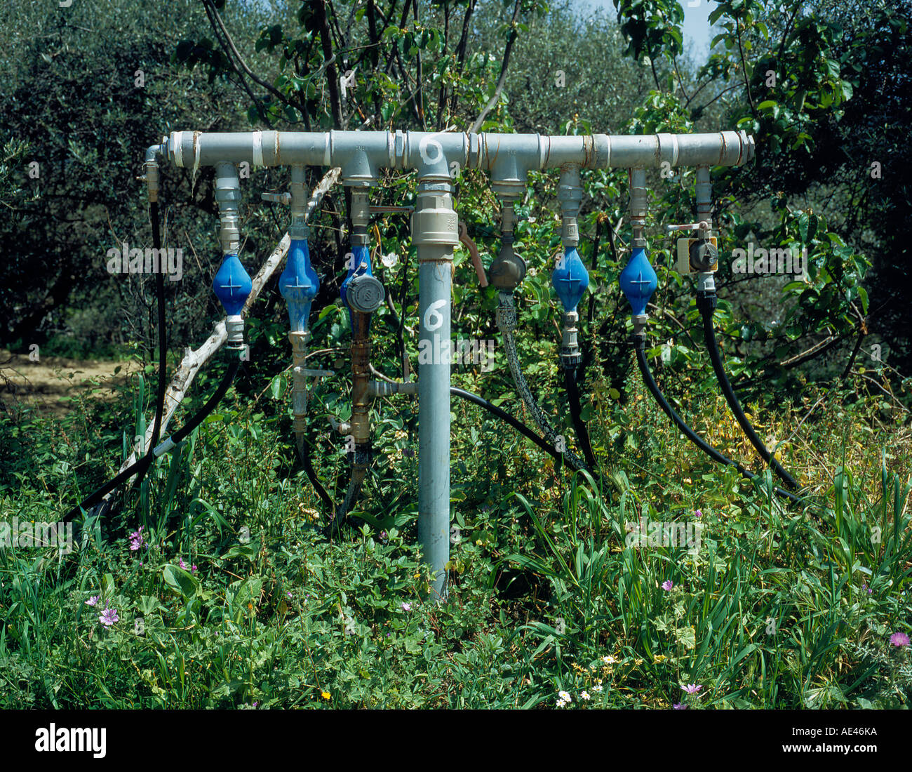 irrigation system Crete Greece Europe. Photo by Willy Matheisl Stock