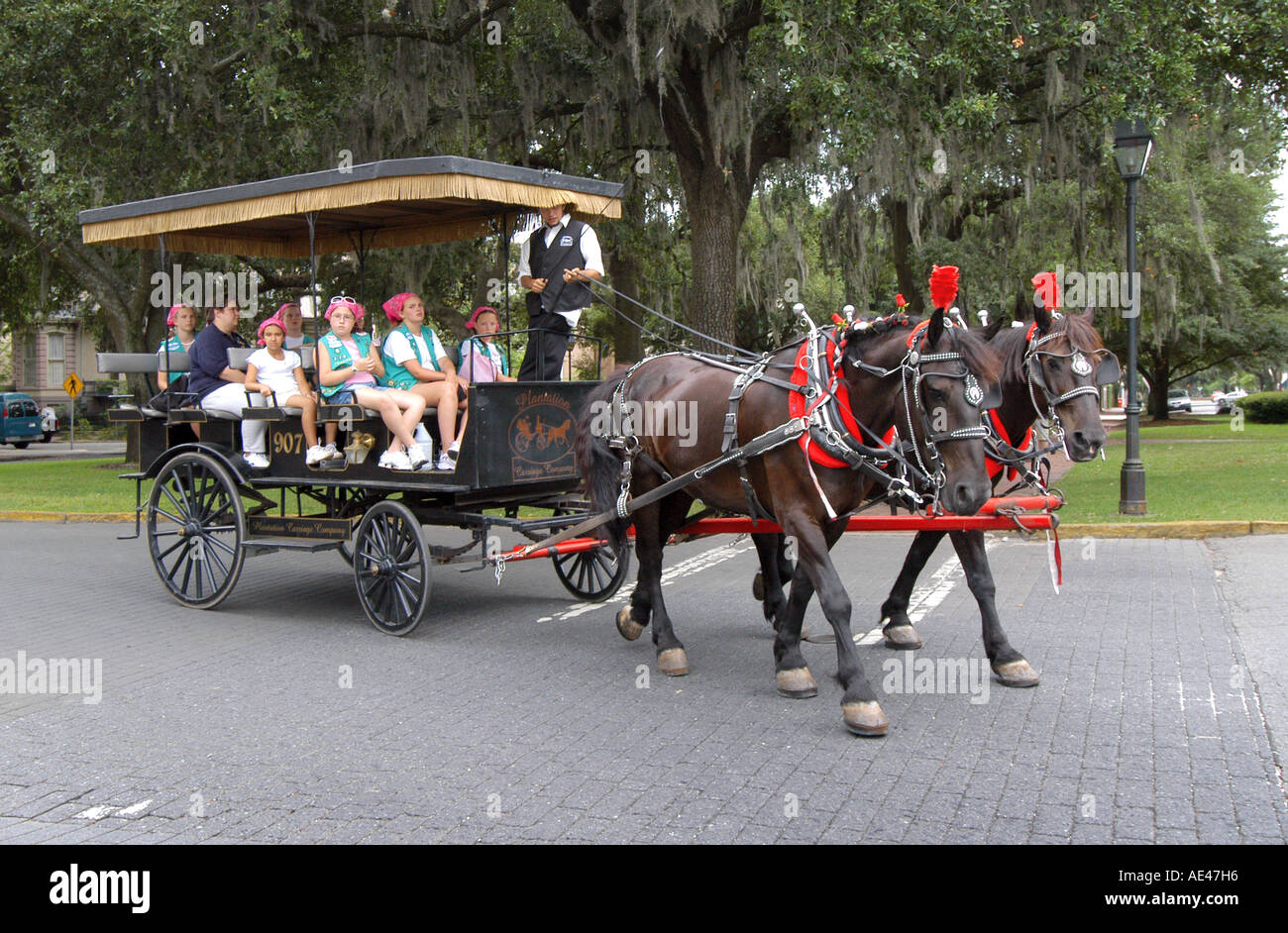 Horse drawn carriage tour Lafayette Square Savannah USA Stock