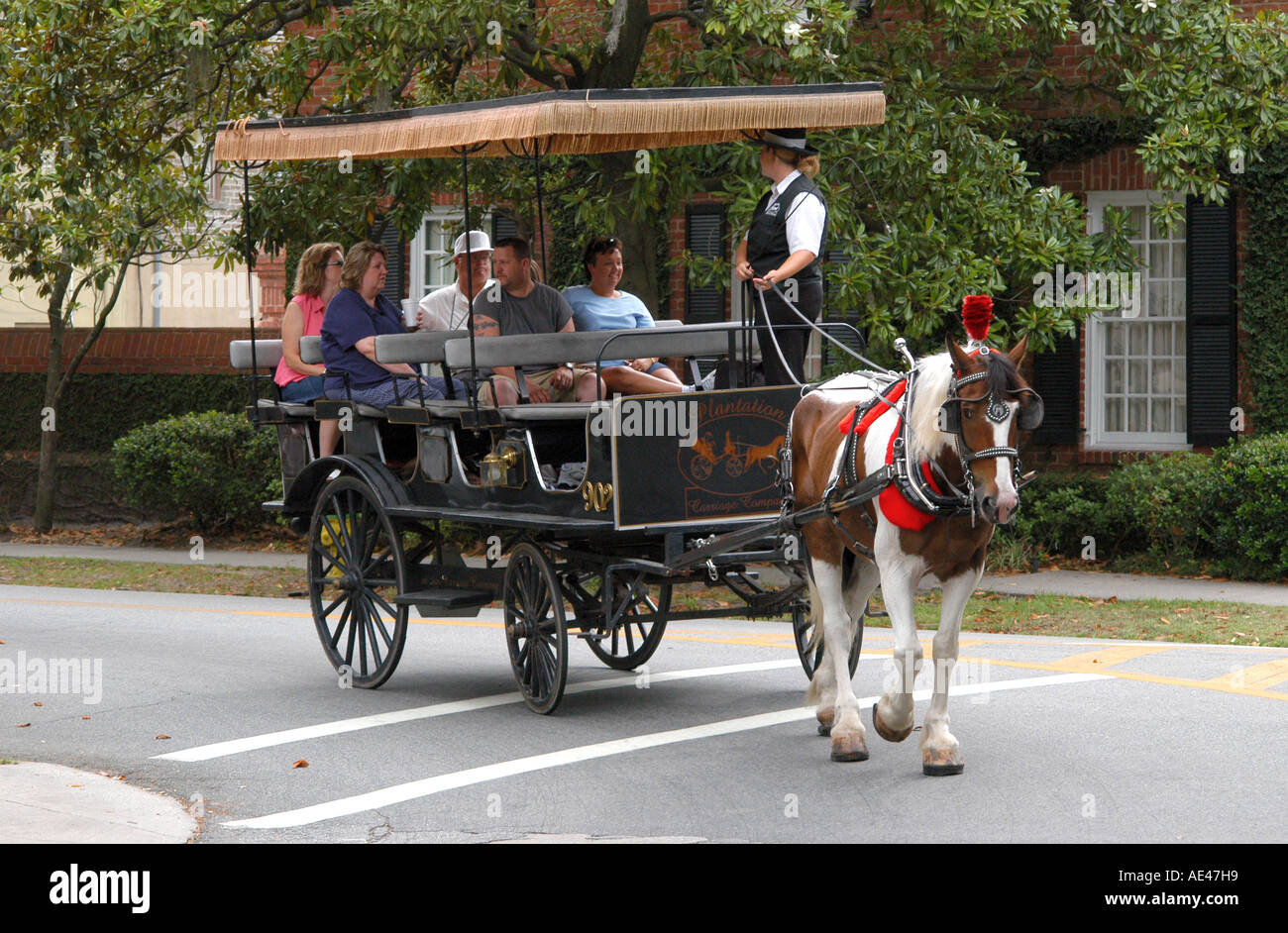 Horse drawn carriage tour Lafayette Square Savannah USA Stock