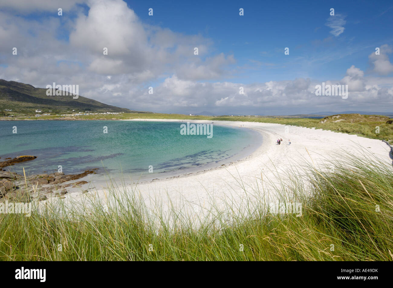 Dogs Bay, Connemara, County Galway, Connacht, Republic of Ireland
