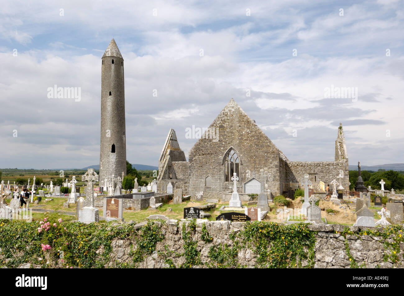 Kilmacdaugh churches and round tower, near Gort, County Galway, Connacht, Republic of Ireland, Europe Stock Photo