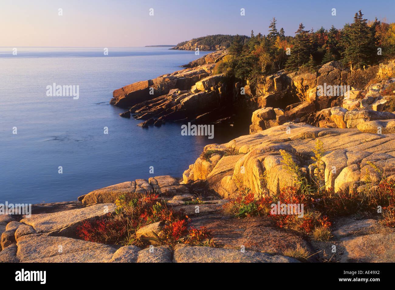 USA, Maine, Acadia National Park Stock Photo