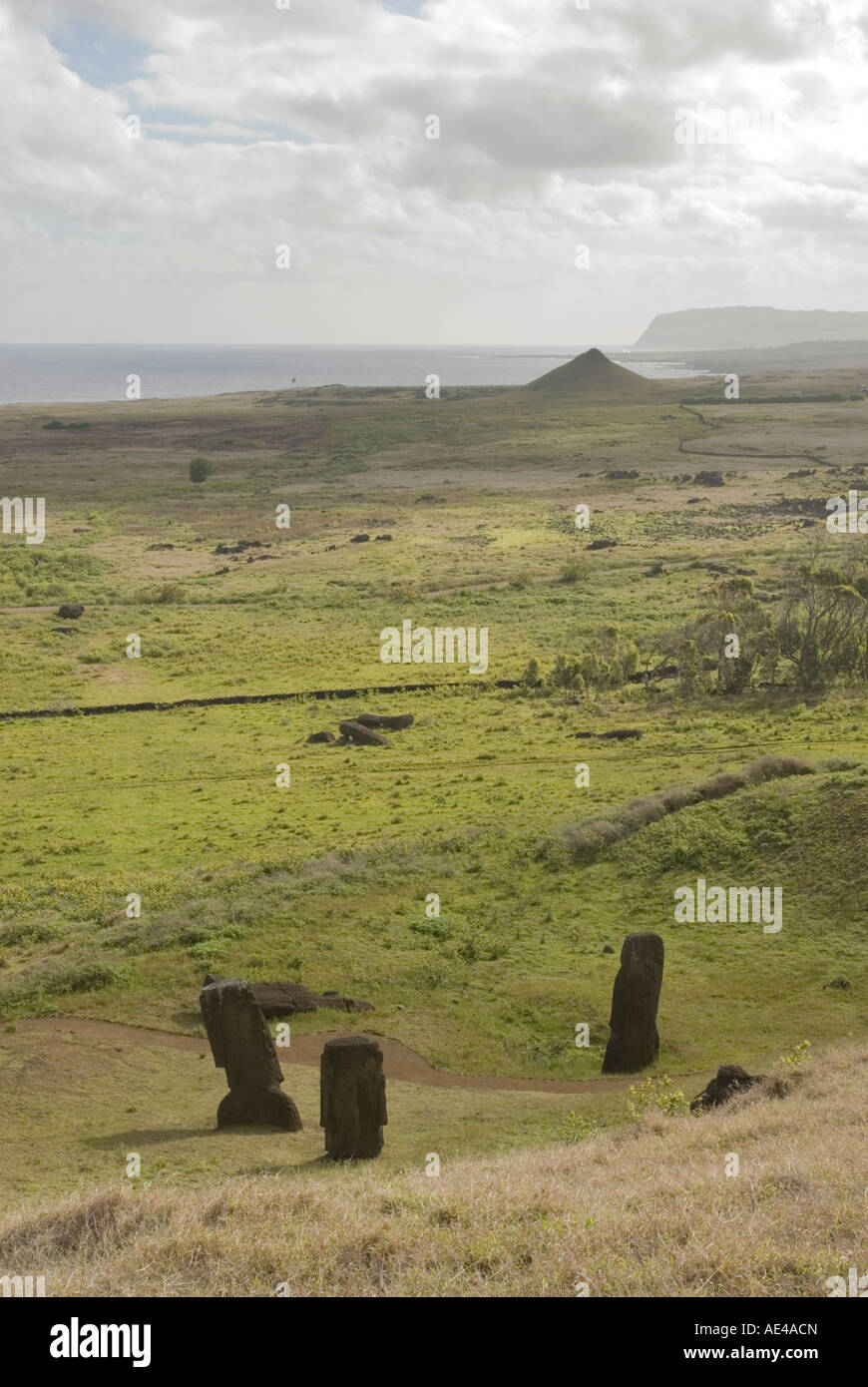 Moai quarry, Rano Raraku Volcano, Easter Island (Rapa Nui), Chile Stock