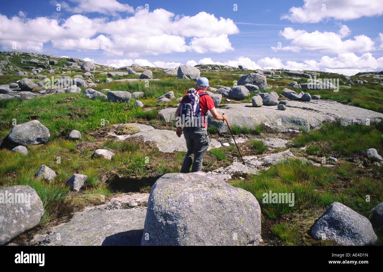 Scottish hill walking in the Galloway Hills walker walking through glacial rubble Galloway Forest Park Scotland UK Stock Photo