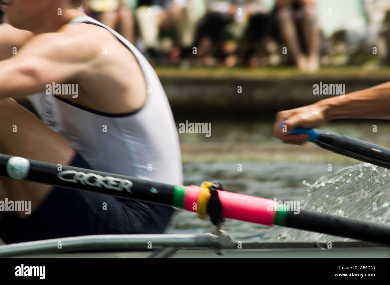 Rowing at the Henley Royal Regatta, Henley on Thames, England, United ...