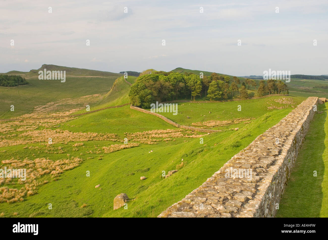 Roman Wall at Housesteads Fort to Sewing Shields Crags, Hadrian's Wall