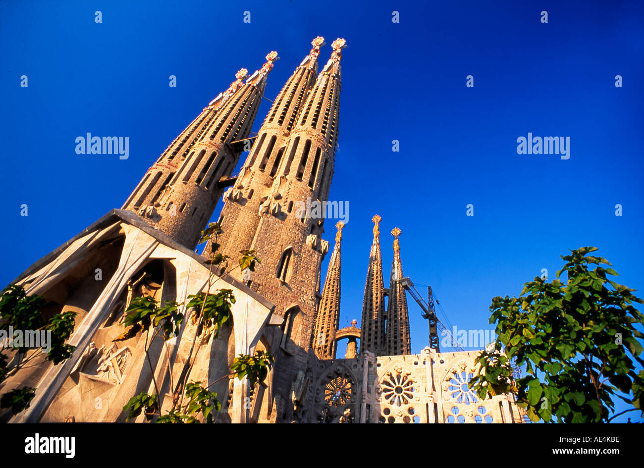 Sagrada Familia by Antoni Gaudi , Tower Pinacles,   Barcelona , Spain Stock Photo