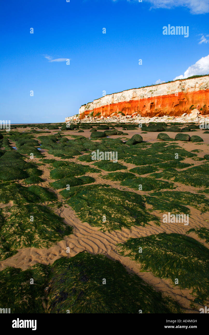The colourful red and white striped Hunstanton Cliffs a Site of Special