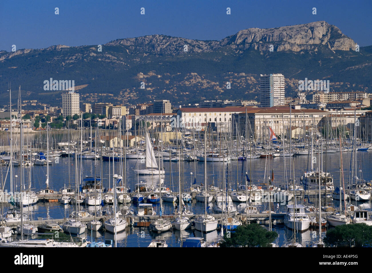 Marina and city centre, Toulon, Var, Cote d'Azur, Provence, France, Mediterranean, Europe Stock Photo