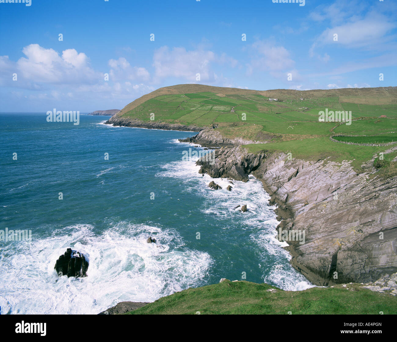 Cod's Head, Beare Peninsula, County Kerry, Munster, Eire (Republic of ...