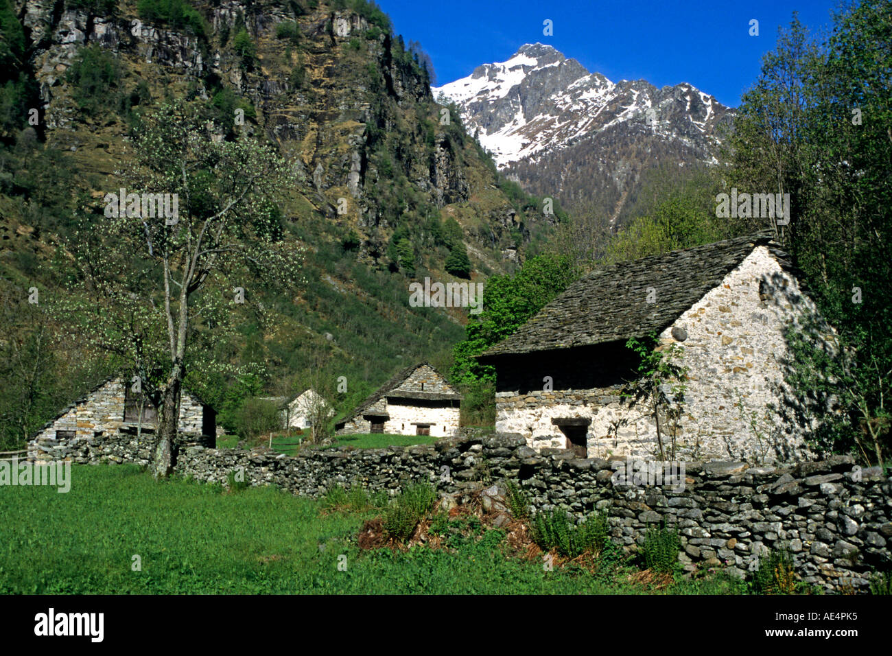 A stone farmhouse stands in a valley near the village of Sonogno in the Swiss Alps of Ticino. Stock Photo
